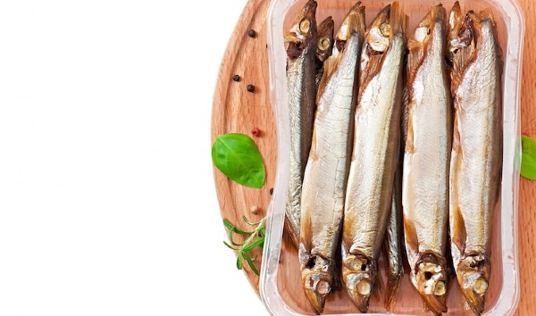 Anchova