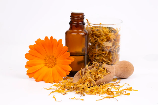 Calendula officinalis