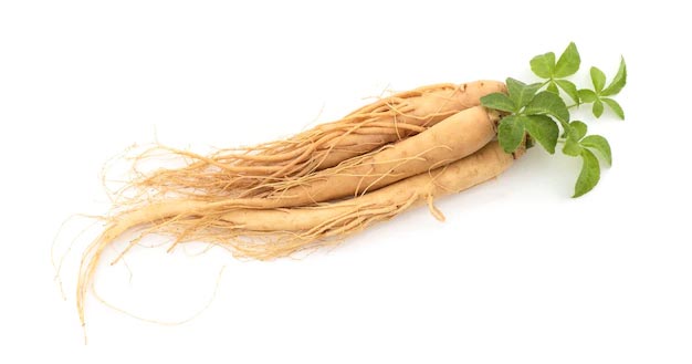 ginseng