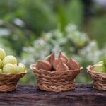 Triphala