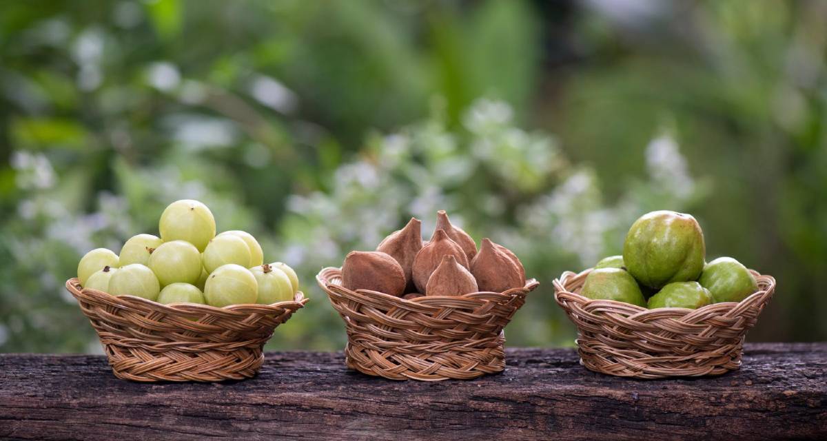 Triphala do que é feita, benefícios e como tomar MundoBoaForma