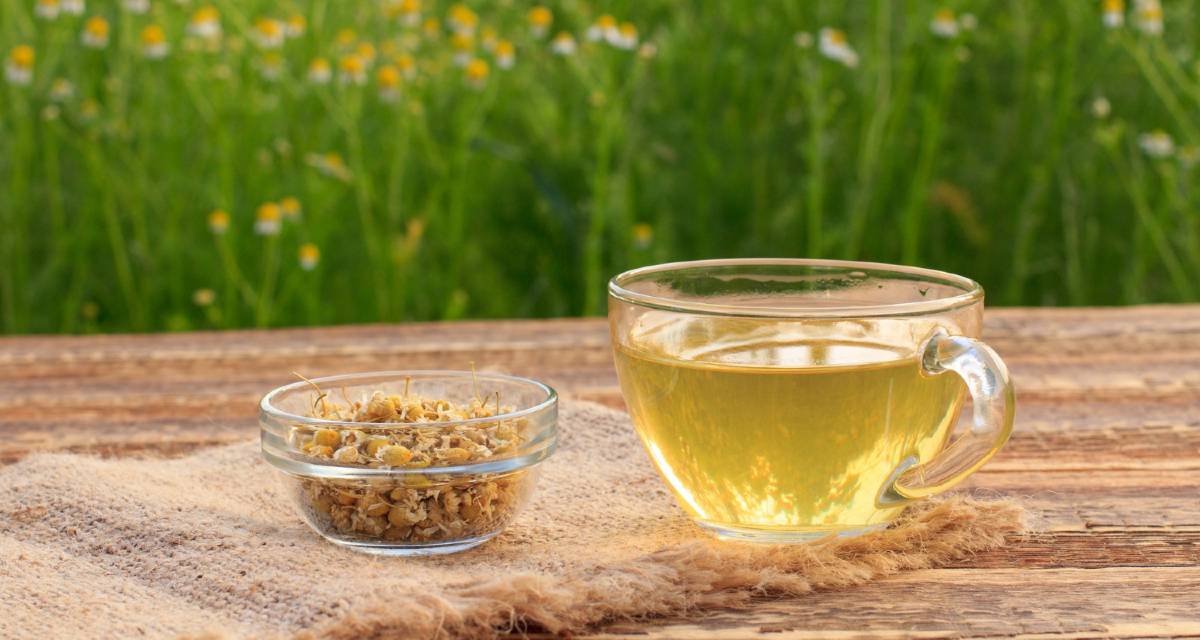 7 Benefícios do chá de funcho: para que serve e propriedades - MundoBoaForma