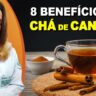 8 benefícios do chá de canela