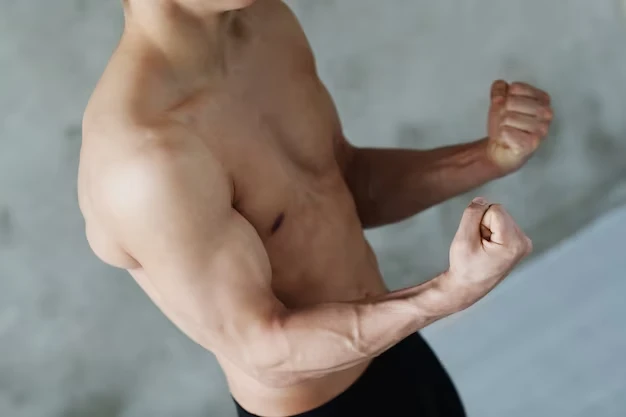 Músculos