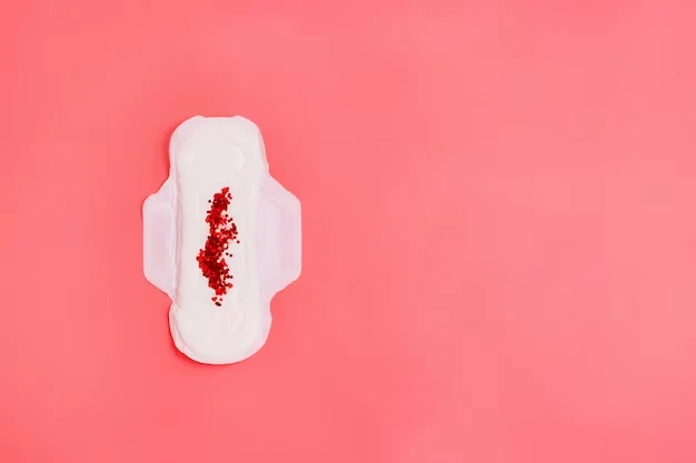 Menstruação