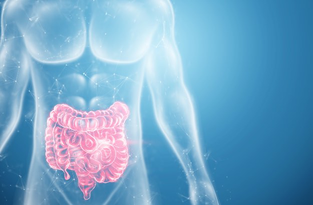 Câncer no intestino