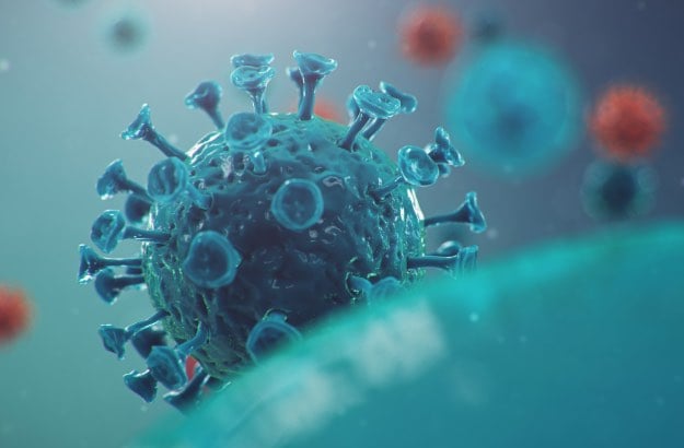 Modelagem 3D do vírus da COVID-19