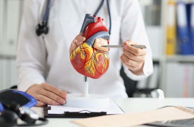 Médico mostrando coração para paciente