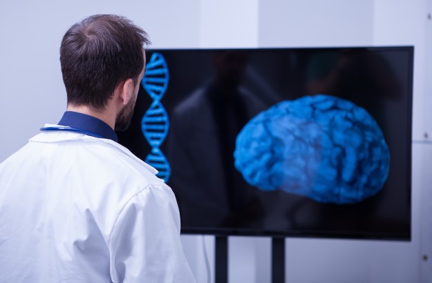 Médico olhando exame cerebral 