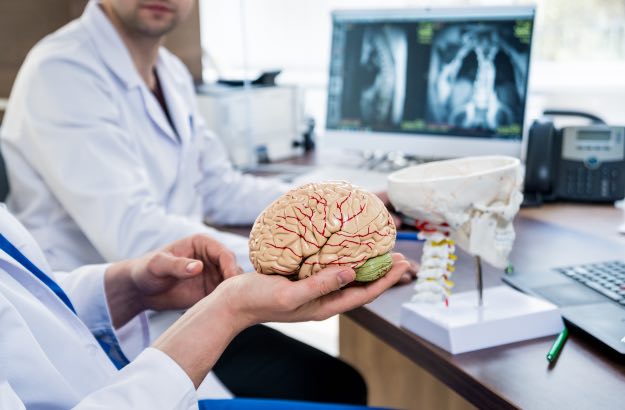 Médicos neurologistas conversando