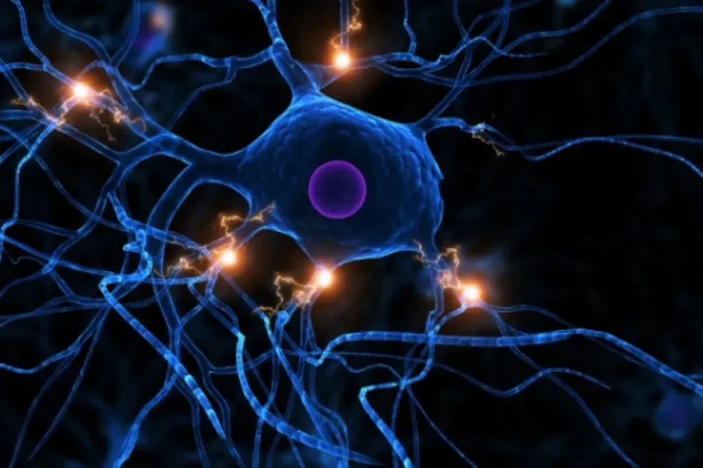 Descubra-truques-para-regenerar-seus-neurônios.-02-16-10-23