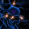 Descubra-truques-para-regenerar-seus-neurônios.-02-16-10-23