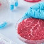 Carne cultivada em laboratório