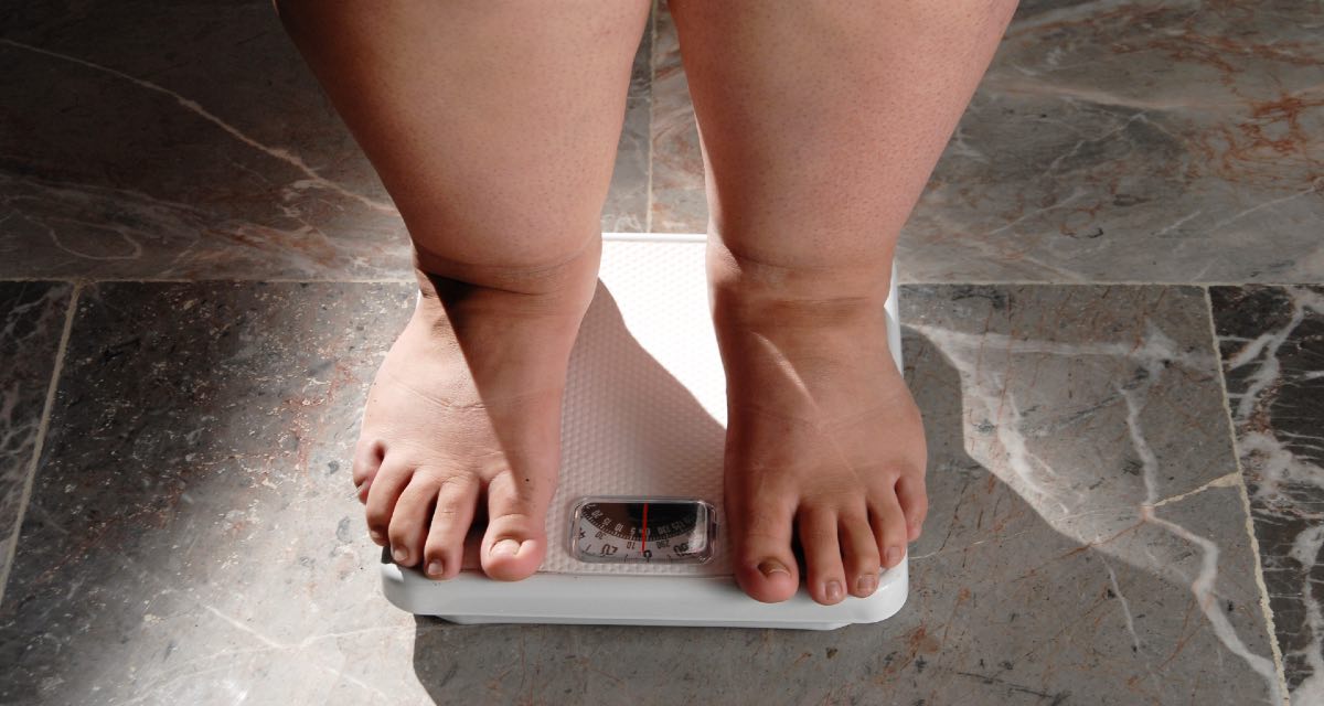 O que são ‘obesogênicos’, compostos químicos que nos engordam mesmo sem