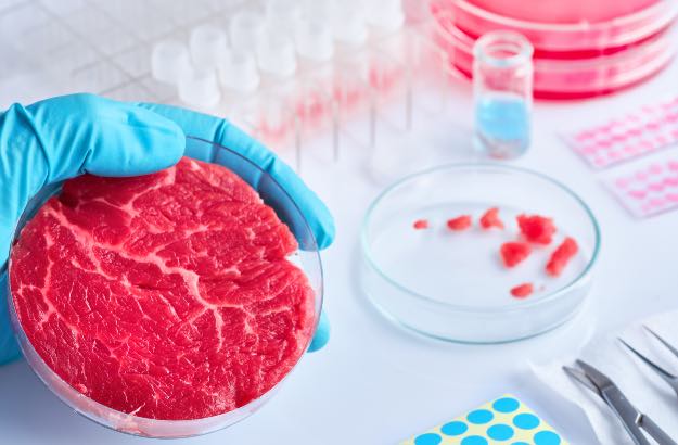Carne cultivada em laboratório 