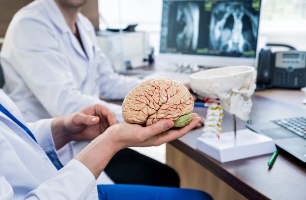 Cérebro artificial nas mãos de um médico 