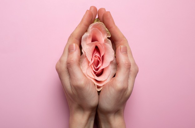 Mãos segurando uma rosa 