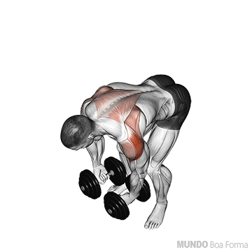 Ombros: crucifixo invertido com halteres