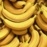 Bananas