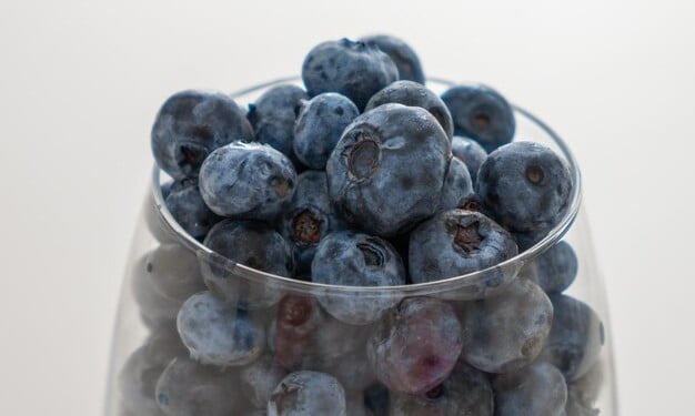 Mirtilos (blueberry)