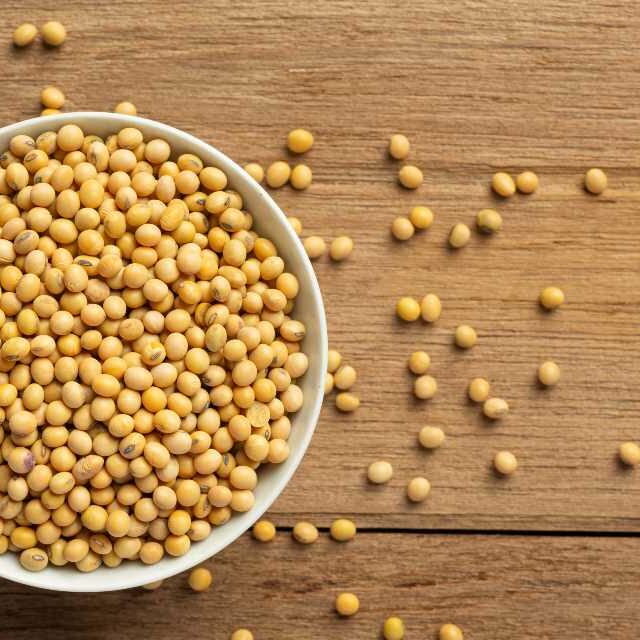 Proteína Isolada da Soja - Para Que Serve, Receitas, Benefícios e Dicas ...