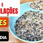 Mix de sementes com gelatina