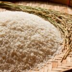 Arroz está se tornando tóxico com mudanças climáticas, indica estudo