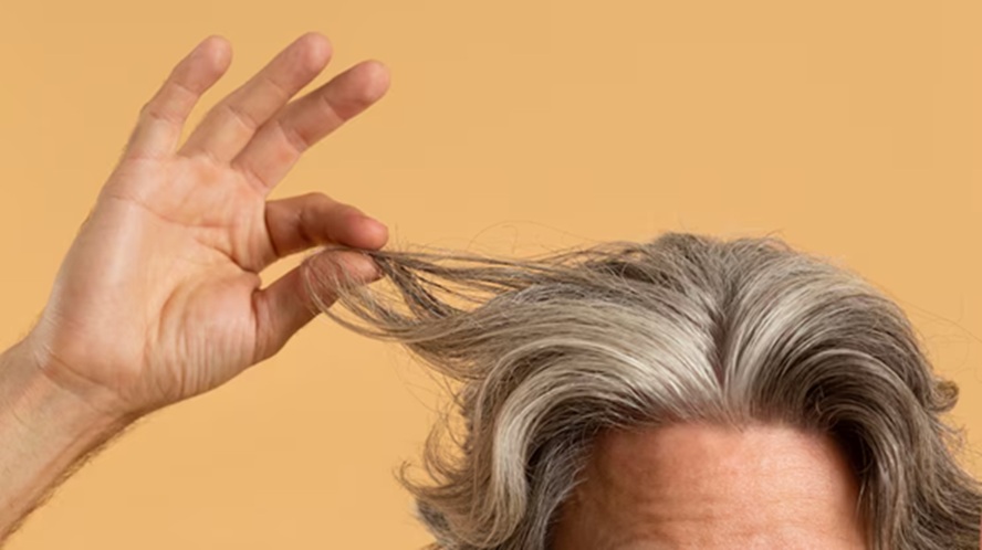 Cientistas descobrem proteína que auxilia no crescimento de cabelo em adultos; entenda
