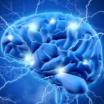 Pesquisadores descobrem idade exata que cérebro começa a envelhecer mais rápido; saiba qual é