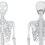 DF183292-2567-436B-88B7-867E15CD01B8