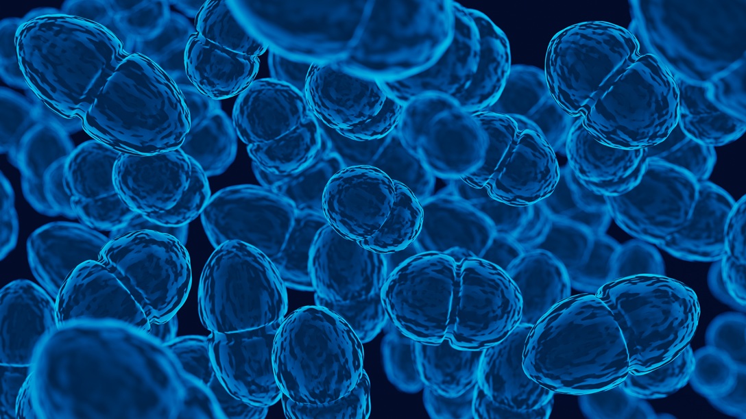 Bactérias intestinais modificadas estimulam o corpo a combater o câncer colorretal, indica estudo