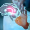 Cientistas descobrem como regenerar neurônios danificados no cérebro
